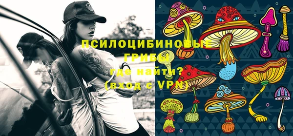 прущая мука Алзамай